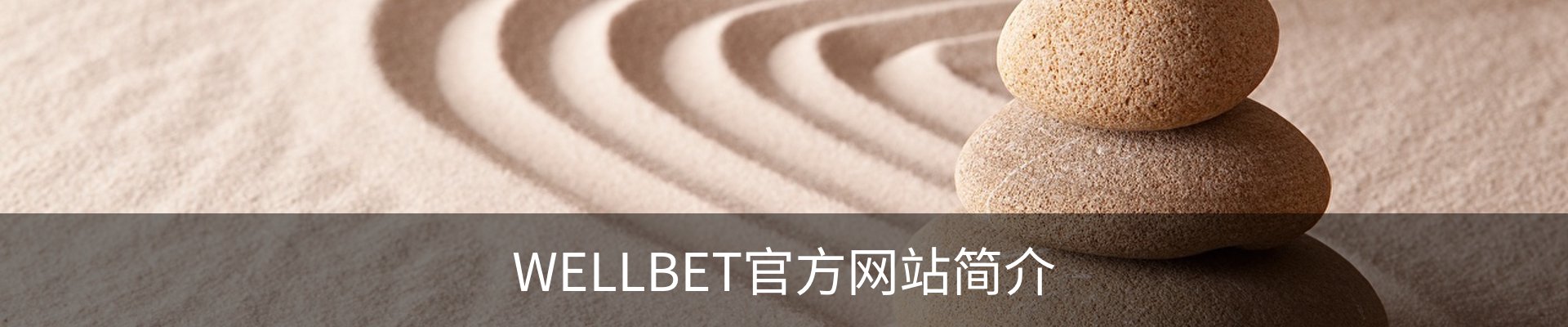 WELLBET官方网站简介
